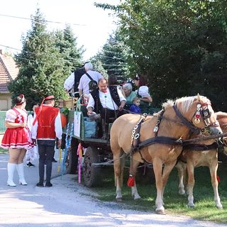 szüreti bál 2021.09.11 146