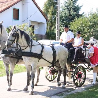 szüreti bál 2021.09.11 179