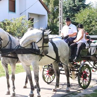 szüreti bál 2021.09.11 180