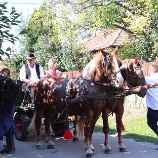 szüreti bál 2021.09.11 181