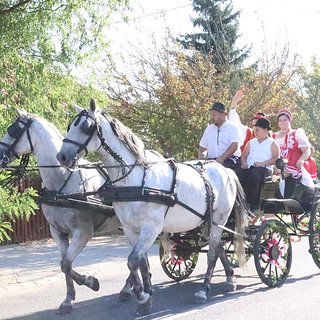 szüreti bál 2021.09.11 283