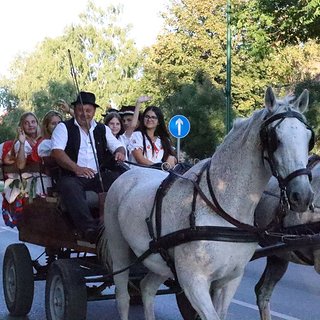 szüreti bál 2021.09.11 445
