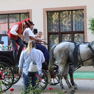 szüreti bál 2021.09.11 448