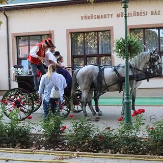 szüreti bál 2021.09.11 449