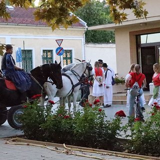 szüreti bál 2021.09.11 450