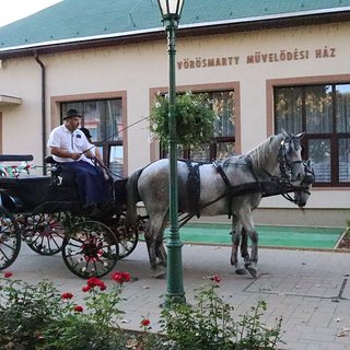 szüreti bál 2021.09.11 451