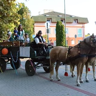 szüreti bál 2021.09.11 453