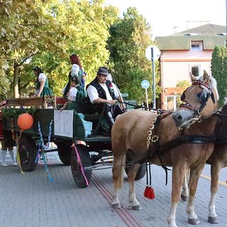 szüreti bál 2021.09.11 454