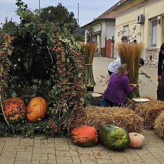 Őszi dekoráció 2024.