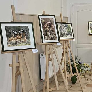 névtelen (3)