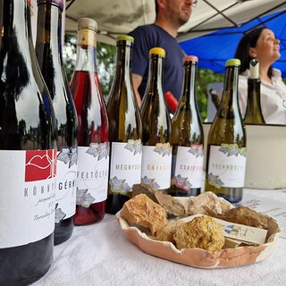 482beb3c-d394-412b-bdc8-0e008bd3f672