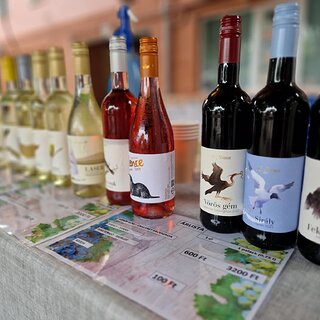 e13f5aae-06b5-4f3e-b019-3113202a8454