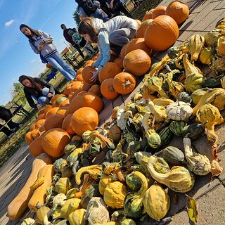 60c4b173-47e4-42b7-838a-a6d92fd13e8f