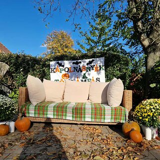 c46bd7bf-3fee-4169-a256-9c8fd339a101