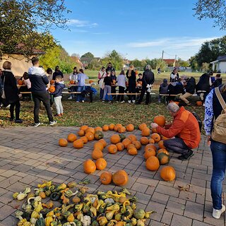 c321f1ad-7ee7-4951-9b75-6c4ce6bfe022