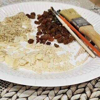 574082321_24907647725524752_9151078897271527708_n