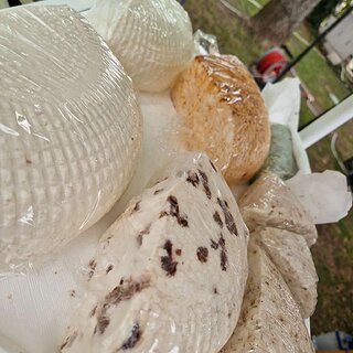 8c0019c6-8205-4835-92ec-30616b03509d