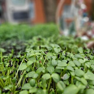 ebad9244-a6a7-4c42-80f0-4c69f706a73a