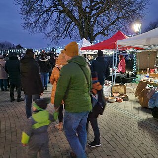 ed5176d6-231d-4bf1-ba2e-4cec9de34ea8