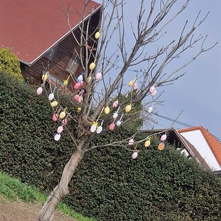 0fa1ca67-5dbe-4fdb-a59b-b3b297f2b9f7