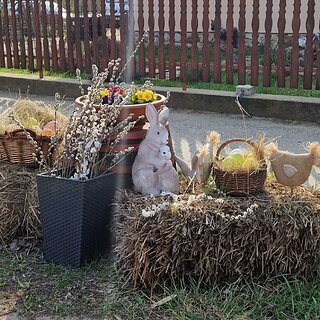 6cfc6db9-6a2a-4e39-a3c8-f75257b78986