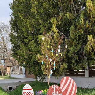 13857067-24c8-4653-8386-f083d1366269