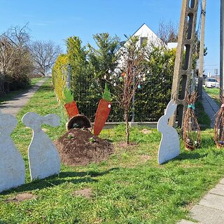 655503883_887706170986152_8668515152926391078_n