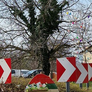 a932037b-54b9-43d7-9321-159c9ad88830