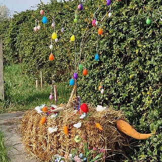 f065ead5-b487-43b4-ac19-f0277bba68f1