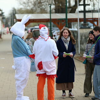 b38cdbd2-15f0-4679-8825-8fa6fcedb830