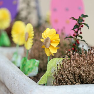 e1a66658-eada-45b8-928b-df81770c2cfc