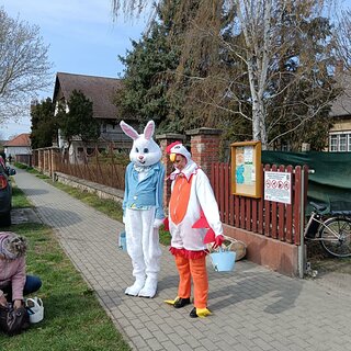 f4265663-7030-4630-aa96-c43ed7cb1a53