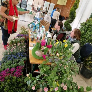 Tavaszi nap 2026.03.22