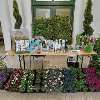 743a92cf-314c-4743-86b2-43860200eacd