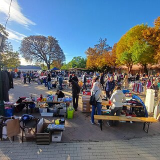 608c7198-f657-42df-a6ba-a82de9666477